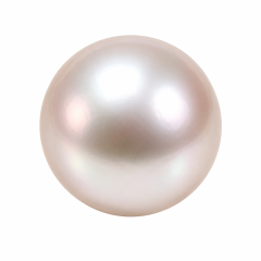 Burma Pearl
